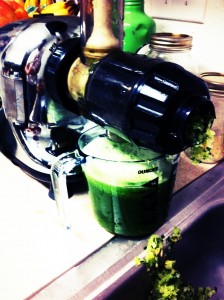 Omega Juicer Omega Juicer